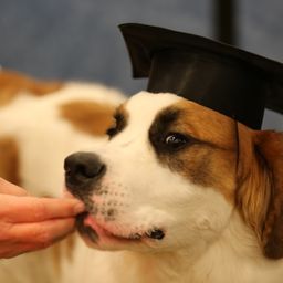 photograph by PeterW